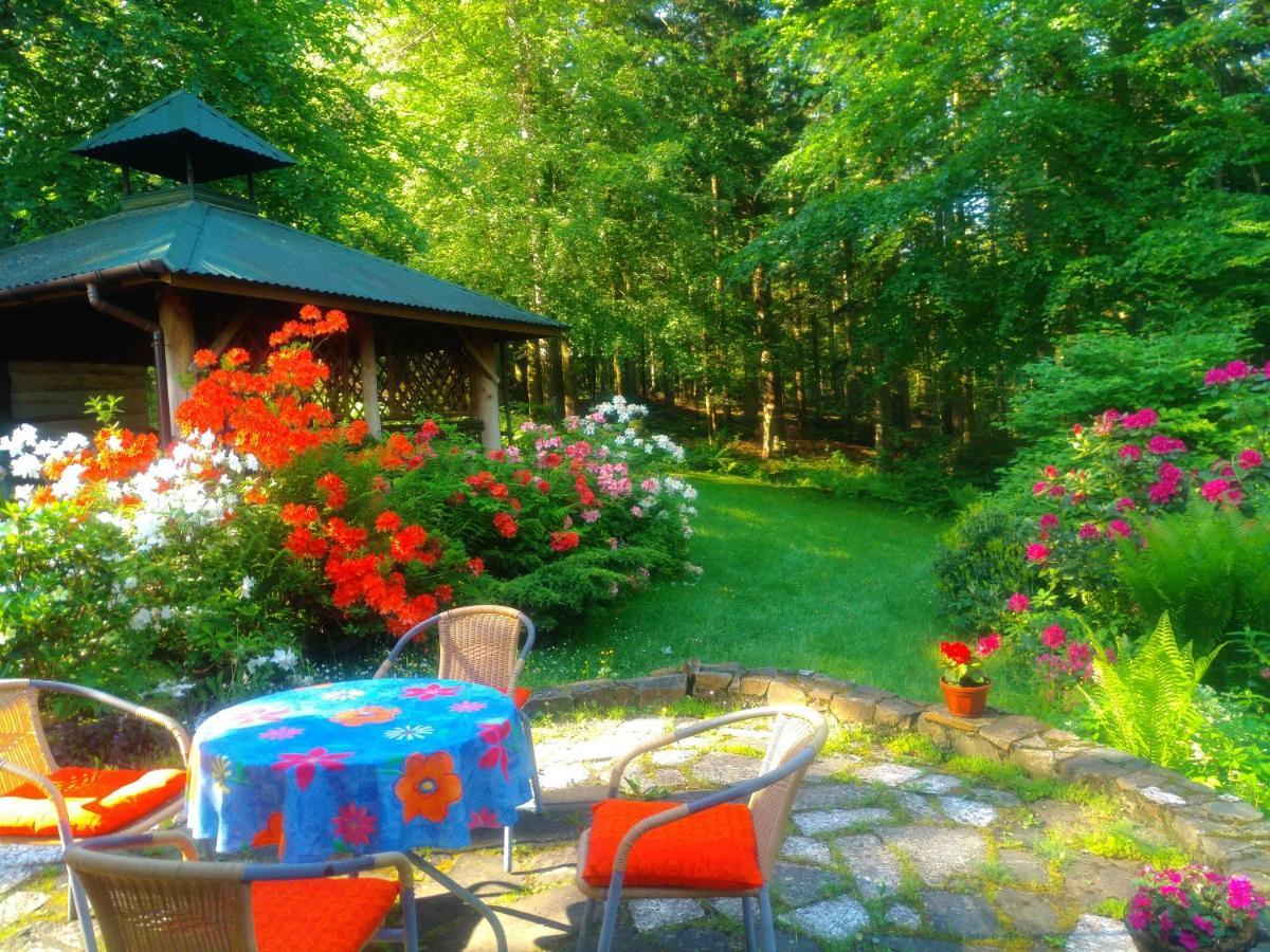 Domek Na Gorce Bieszczady Lesko Buitenkant foto