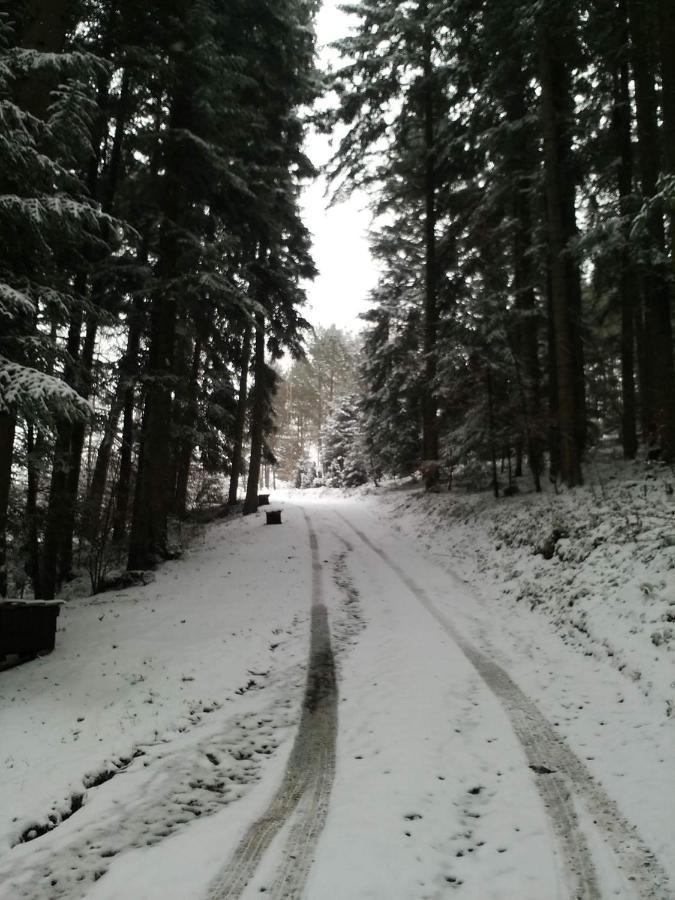 Domek Na Gorce Bieszczady Lesko Buitenkant foto