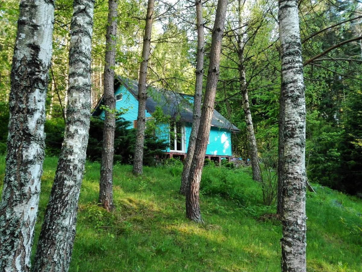 Domek Na Gorce Bieszczady Lesko Buitenkant foto